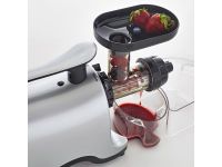 Omega Twin Gear Juicer TWN30S