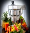 Nutrifaster® N450 Commercial Juicer